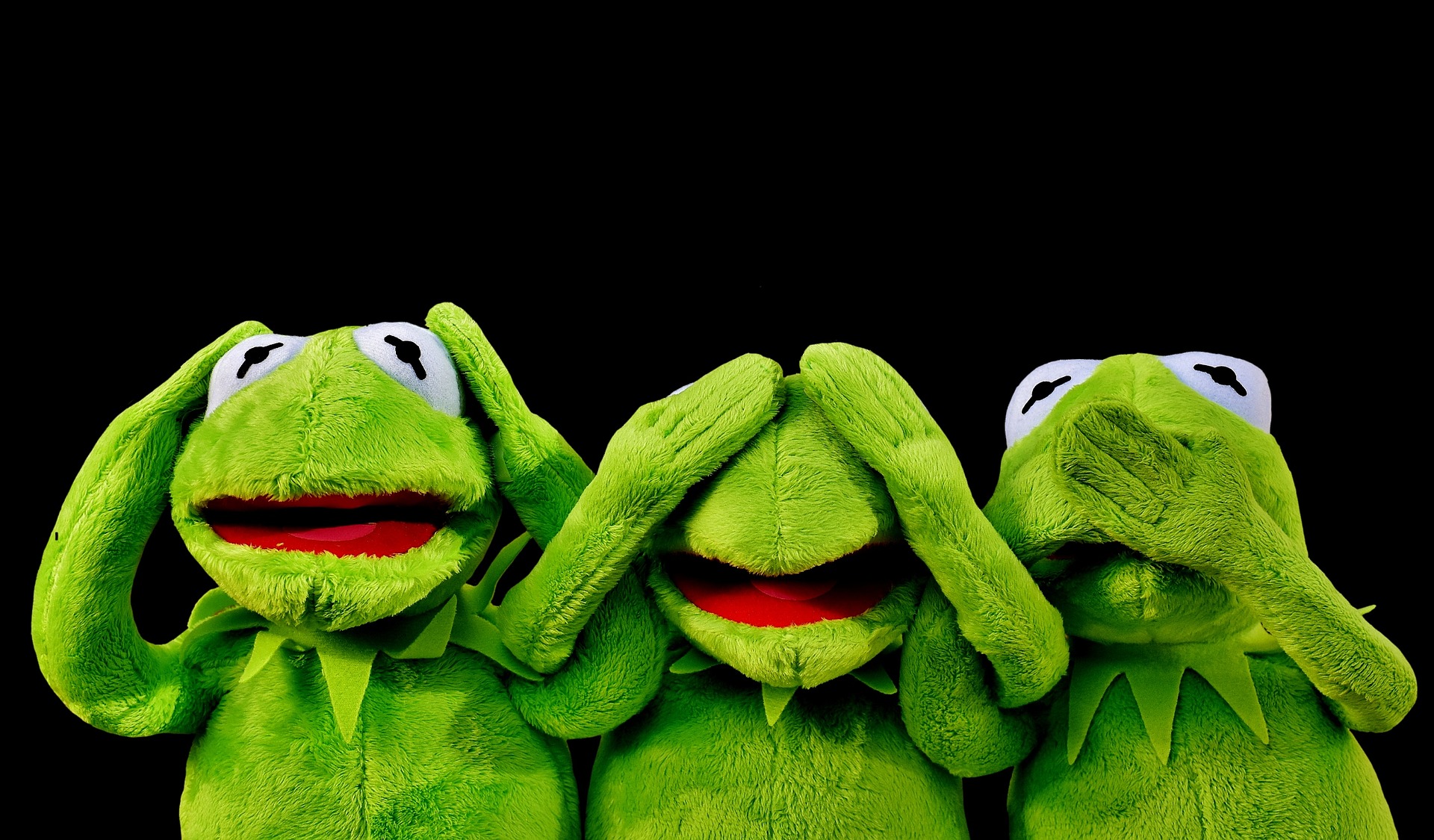 kermit-g30c36ce93_1920