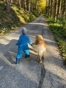 ein kleines Kind, geht mit einem Golden Retriver an einem Waldweg spazieren