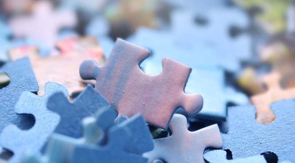 puzzle-3308345_1280 Puzzleteile f. Diagnostik