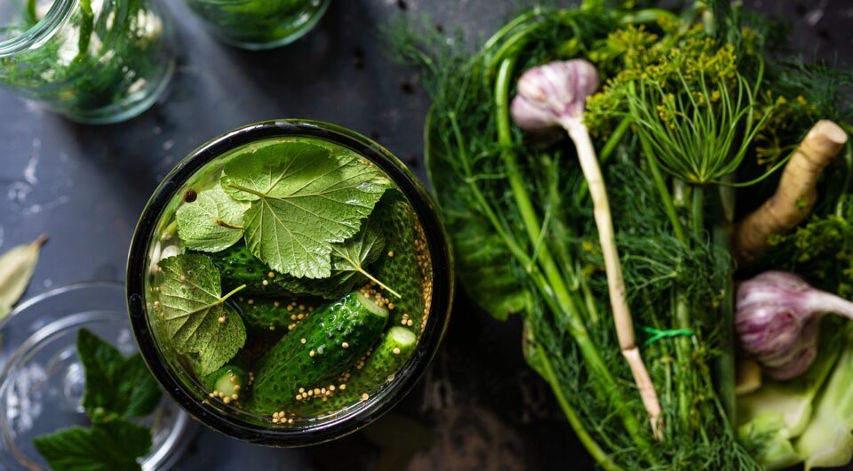 pickled-6506913_1280