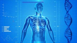 TOP-PERFORMANCE - Stufe Erweiterte, kombinierte Spezial-Diagnostik inklusive Therapie