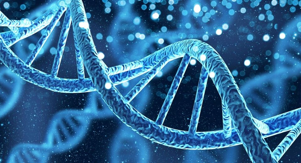 Dank der genetischen Spezial-Analyse können Sie Ihre Selbstwirksamkeit in Sachen Gesundheit steigern und mit dieser Kenntnis Ihre Reise zu einem Gesundheits-betonten Leben beginnen!