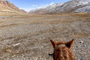 a person riding on a brown horse along the rocky mountains