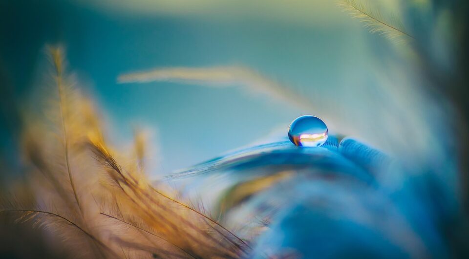droplet-3716288_1280